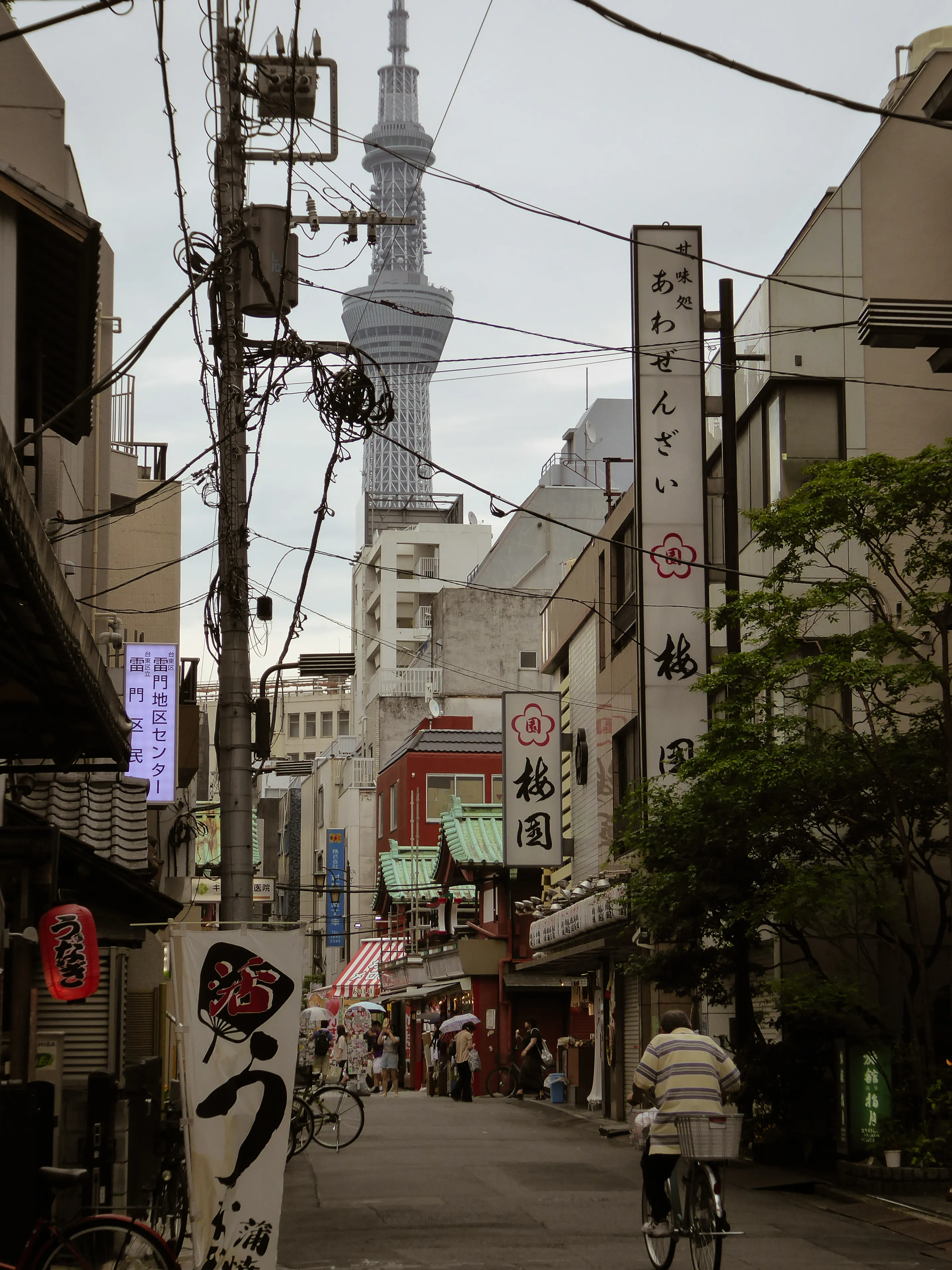 Floral detail photographed in Japan.