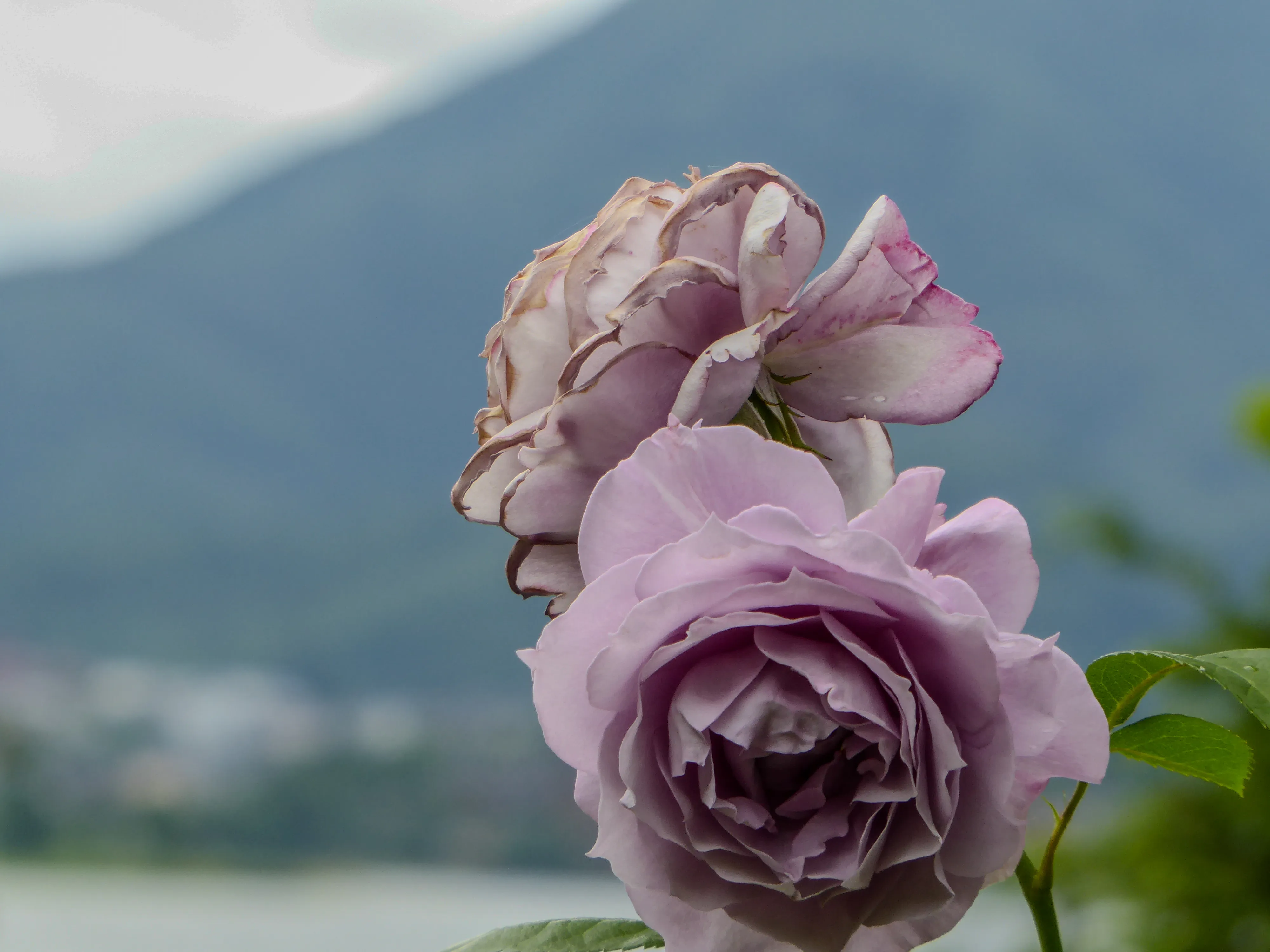 Outdoor scene photographed while traveling in Japan.