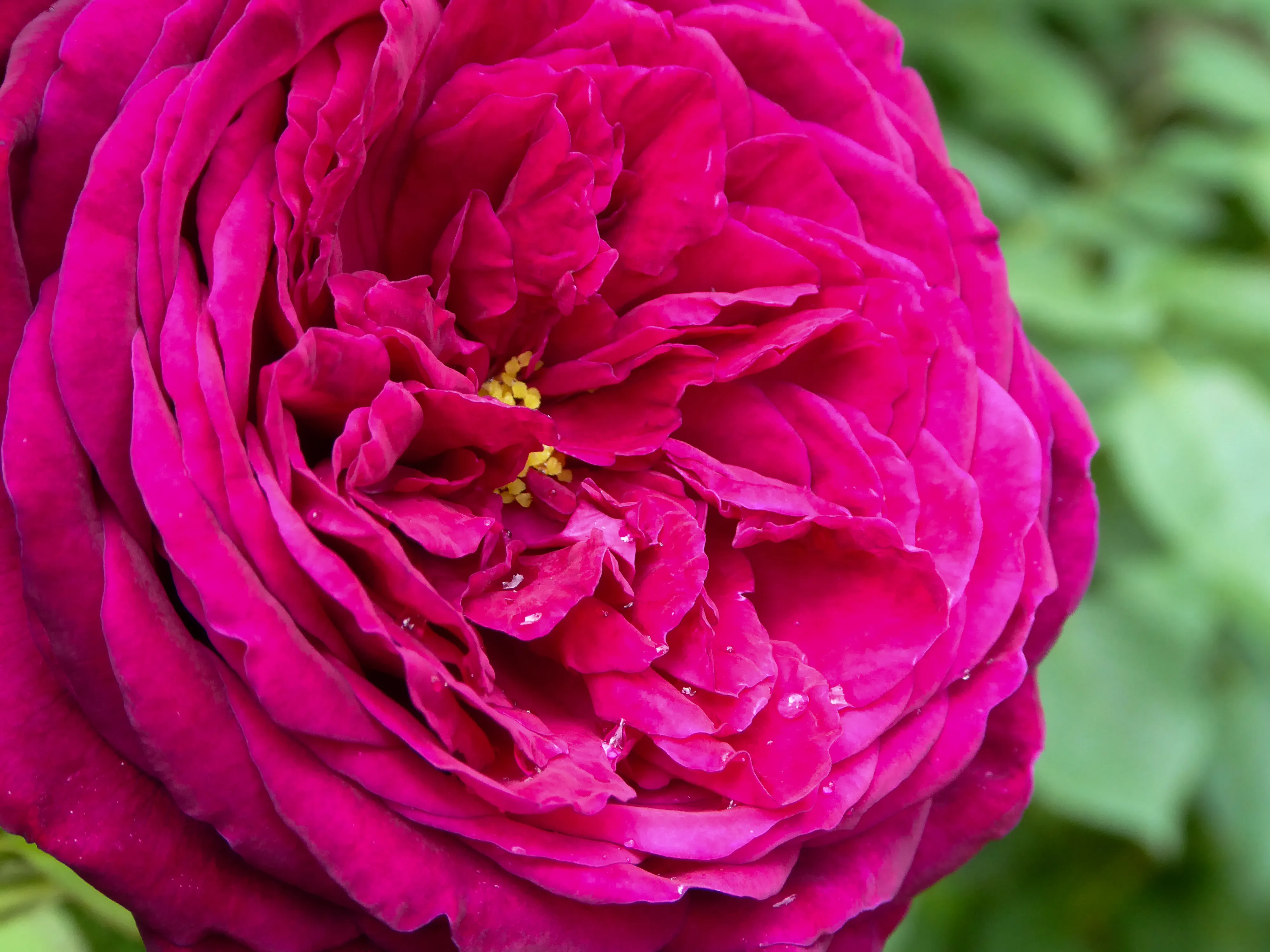 Another outdoor travel frame from Japan.