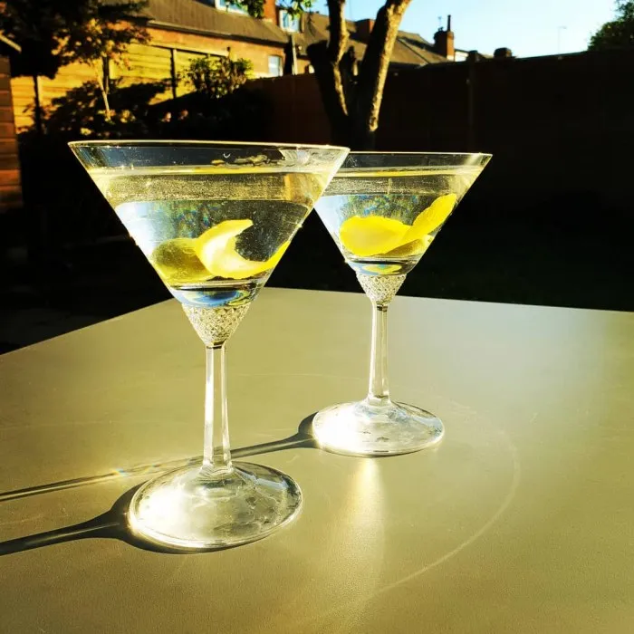 Gin and Vermouth