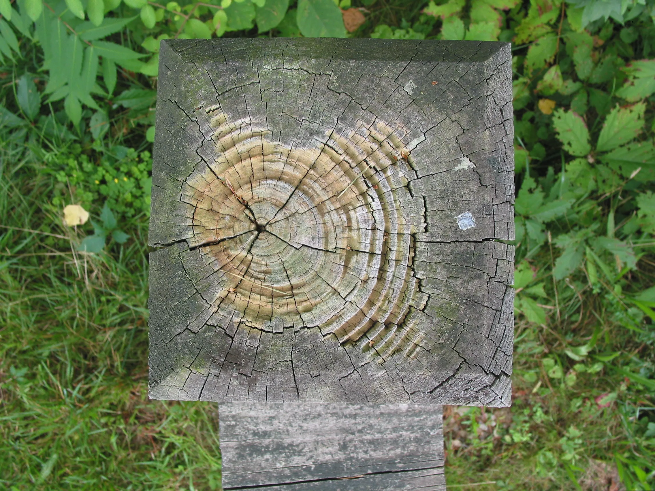 Post photographed with the Canon PowerShot G2.