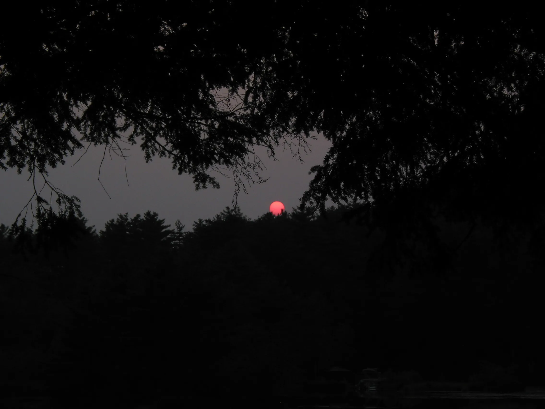 Red sun scene photographed with the Canon PowerShot G2.
