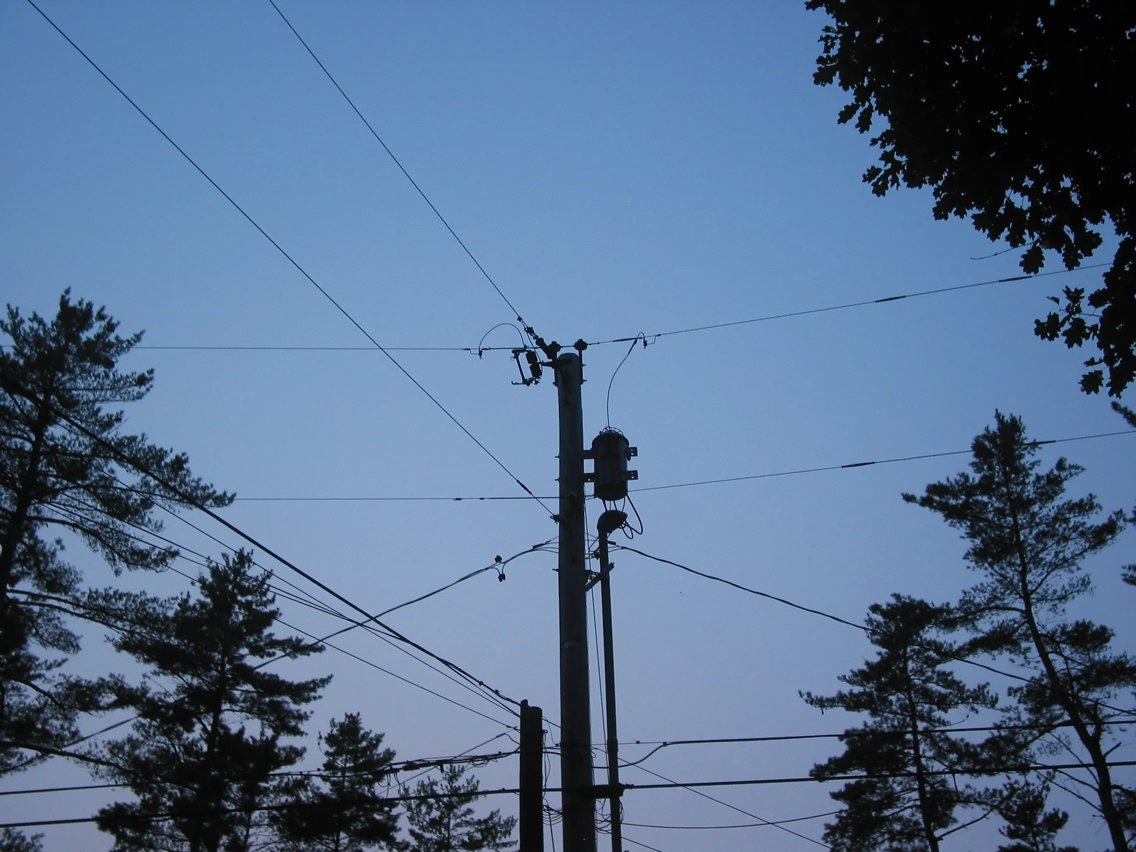 Telephone pole photographed with the Canon PowerShot G2.