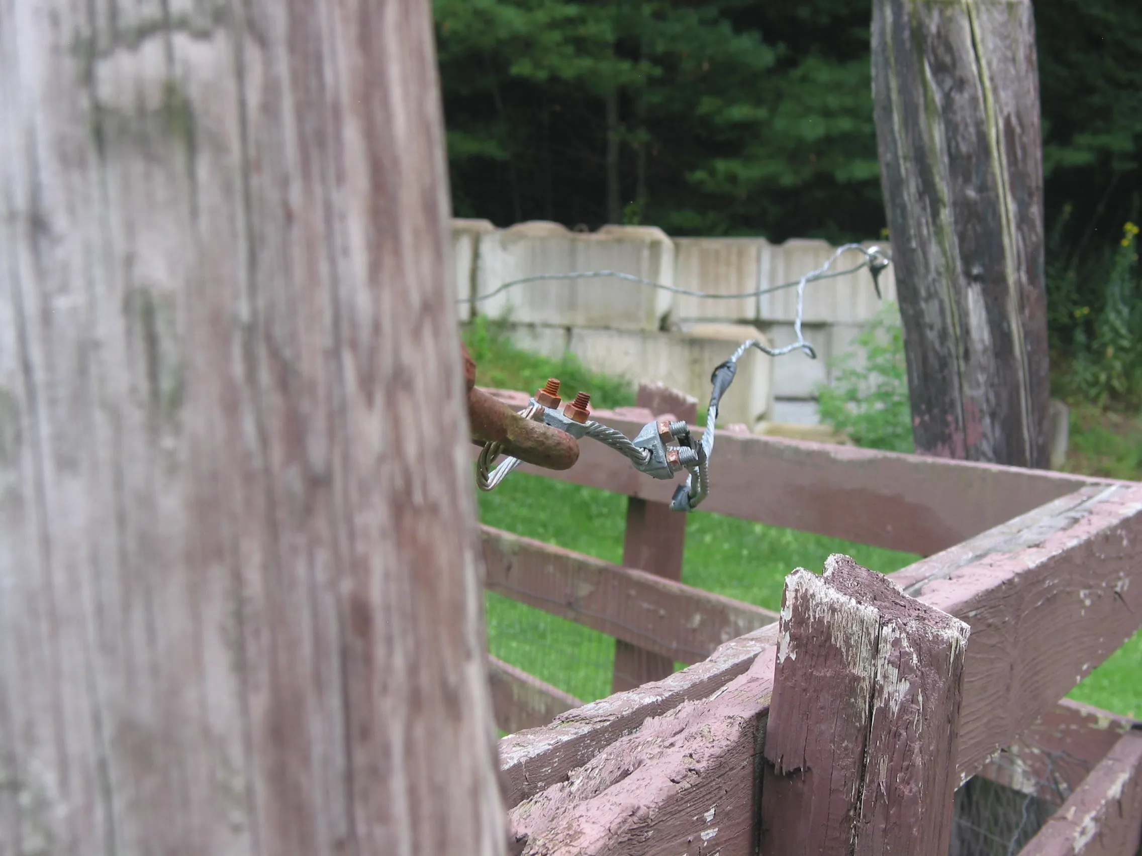 Wire detail photographed with the Canon PowerShot G2.