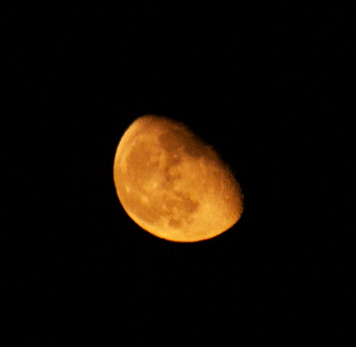 An Orange Moon Picture